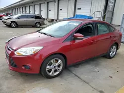 Salvage cars for sale at Louisville, KY auction: 2014 Ford Focus SE