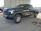 2024 Toyota Tundra Double Cab SR