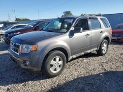 Ford salvage cars for sale: 2010 Ford Escape XLT