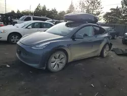 2023 Tesla Model Y en venta en Denver, CO