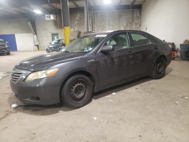 2009 Toyota Camry Hybrid