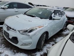 Salvage cars for sale at Brighton, CO auction: 2013 Hyundai Veloster