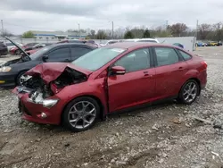 Salvage cars for sale at Louisville, KY auction: 2014 Ford Focus SE