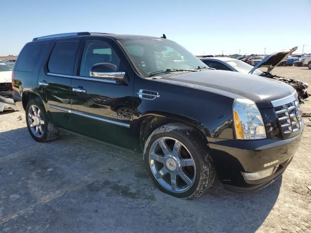 2010 Cadillac Escalade Premium