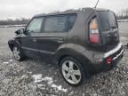 2010 KIA Soul +