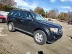 2011 Ford Escape XLS