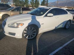 2011 Jaguar XF Premium en venta en Rancho Cucamonga, CA