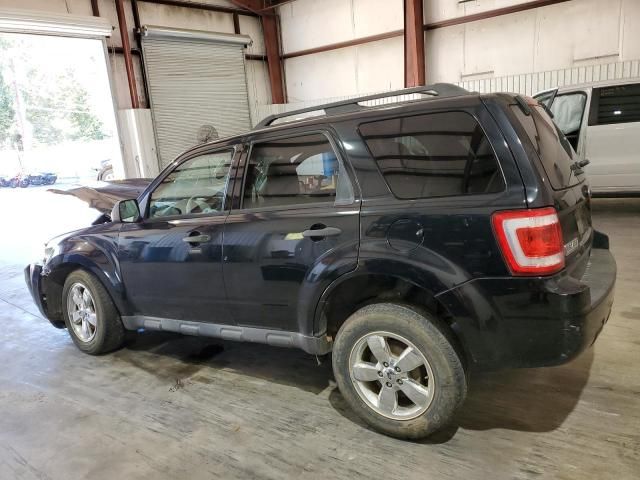 2012 Ford Escape XLT