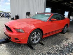 Salvage cars for sale from Copart Jacksonville, FL: 2014 Ford Mustang