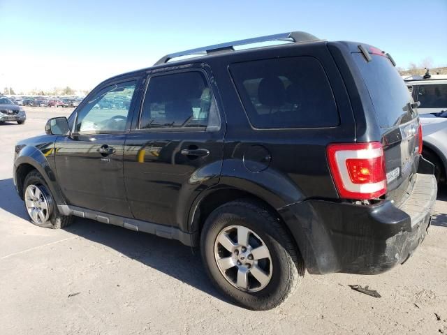 2010 Ford Escape Limited