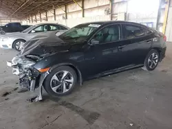 Salvage cars for sale at Phoenix, AZ auction: 2019 Honda Civic LX