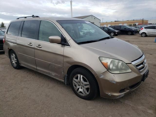 2005 Honda Odyssey EXL