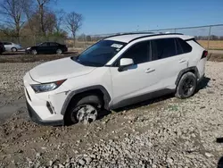 2020 Toyota Rav4 XLE en venta en Cicero, IN