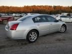 2006 Nissan Maxima SE