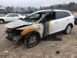 Salvage vehicles for parts for sale at auction: 2010 Mazda CX-9