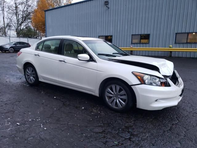 2011 Honda Accord EXL