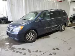 Honda salvage cars for sale: 2009 Honda Odyssey EXL