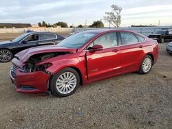 Salvage cars for sale at American Canyon, CA auction: 2016 Ford Fusion SE Hybrid