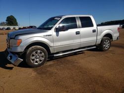 Ford f150 Supercrew salvage cars for sale: 2013 Ford F150 Supercrew