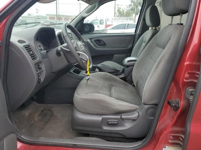 2005 Ford Escape XLT