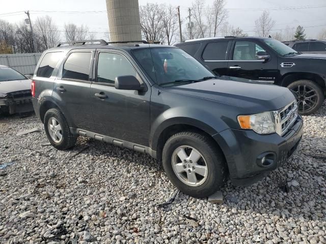 2009 Ford Escape XLT