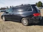 2008 Honda Odyssey EXL