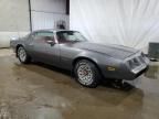 1981 Pontiac Firebird