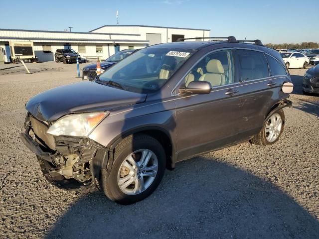 2010 Honda CR-V EXL