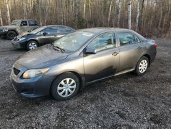 Salvage cars for sale at Cookstown, ON auction: 2009 Toyota Corolla Base