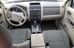 2010 Ford Escape XLS