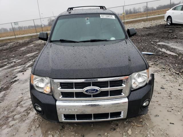 2011 Ford Escape Limited