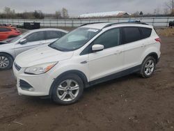 Ford Vehiculos salvage en venta: 2014 Ford Escape SE