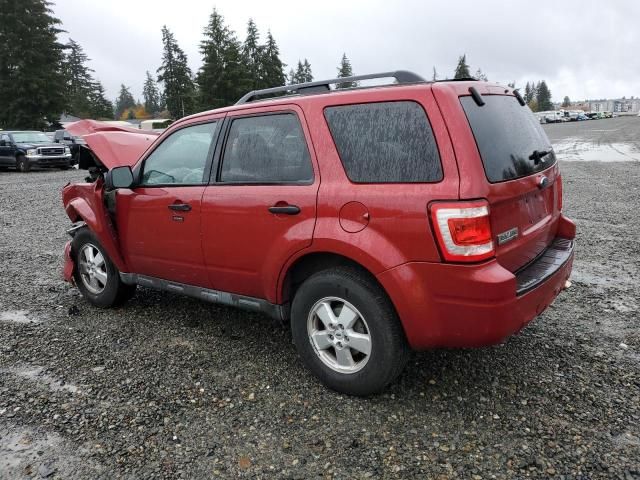 2009 Ford Escape XLT