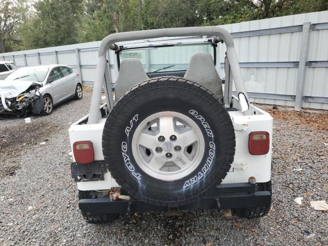 1991 Jeep Wrangler / YJ