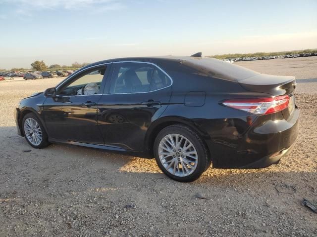 2020 Toyota Camry XLE