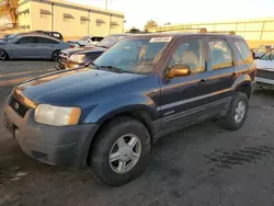 2001 Ford Escape XLS en venta en Anthony, TX