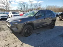 Vehiculos salvage en venta de Copart Albany, NY: 2024 Toyota Rav4 XSE