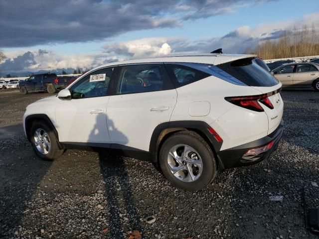 2024 Hyundai Tucson SE