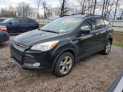 Ford salvage cars for sale: 2016 Ford Escape SE