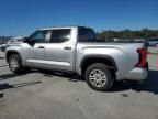 2024 Toyota Tundra Crewmax SR