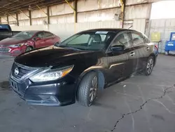 Salvage cars for sale at Phoenix, AZ auction: 2017 Nissan Altima 2.5