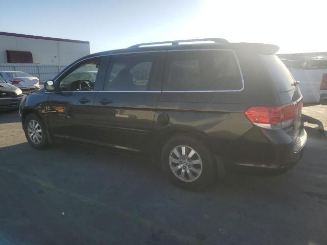 2008 Honda Odyssey EXL