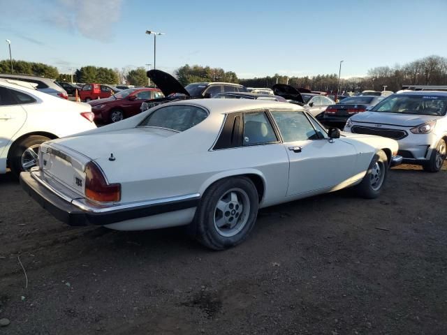 1982 Jaguar XJS