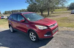 Salvage cars for sale at Apopka, FL auction: 2013 Ford Escape SE