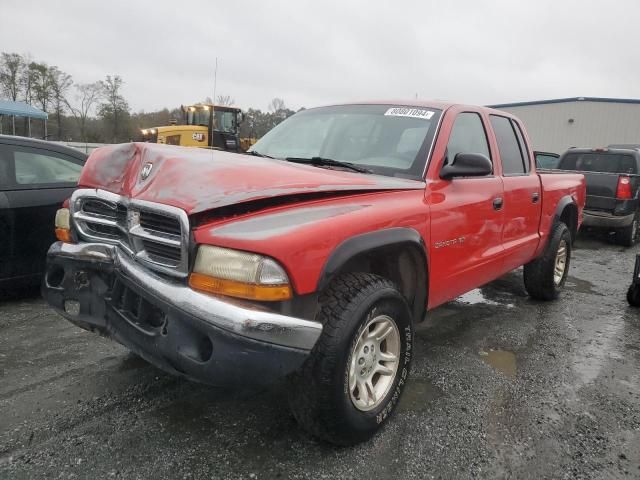 2002 Dodge Dakota Quad SLT