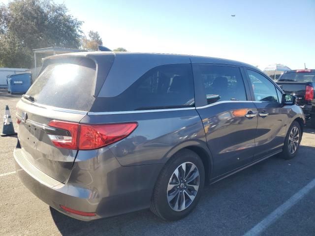 2024 Honda Odyssey EXL