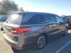 2024 Honda Odyssey EXL