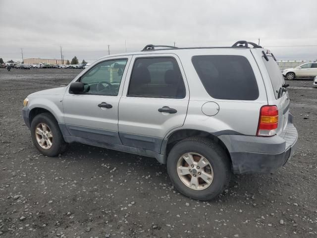 2005 Ford Escape XLT