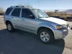 2007 Ford Escape HEV