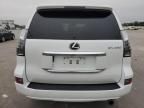 2022 Lexus GX 460 Luxury